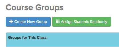 The assign students randomly button on the course groups home page.